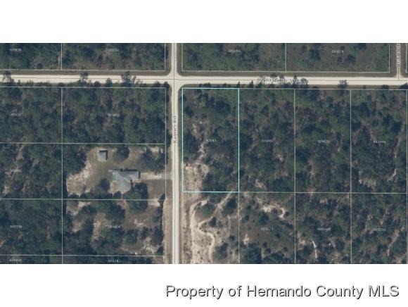 00 RAMSEY RD, Weeki Wachee, FL 34614