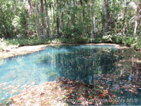00 RAMSEY RD, Weeki Wachee, FL 34614