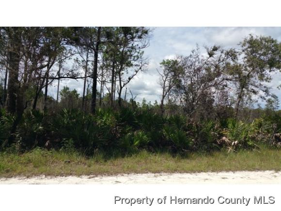 0 Yellowlegs Ave, Weeki Wachee, FL 34614