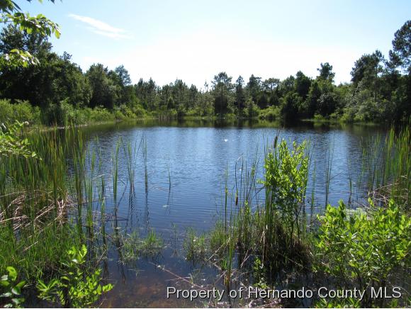 000 RAMSEY RD, Weeki Wachee, FL 34614