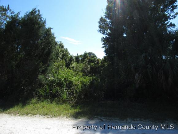 000 RAMSEY RD, Weeki Wachee, FL 34614