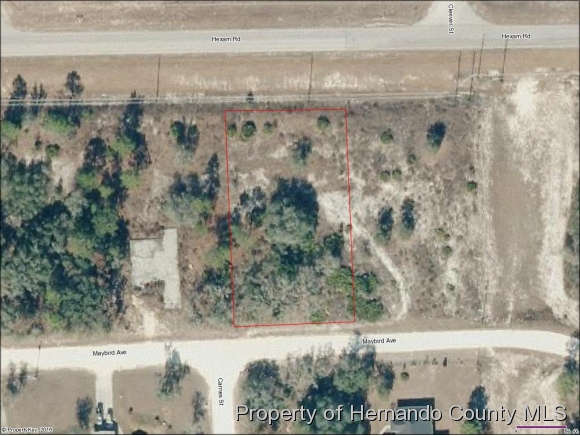 0 MAYBIRD AVE, Weeki Wachee, FL 34614