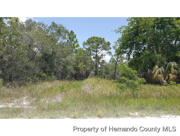 0 TAYLOR ST, Brooksville, FL 34614