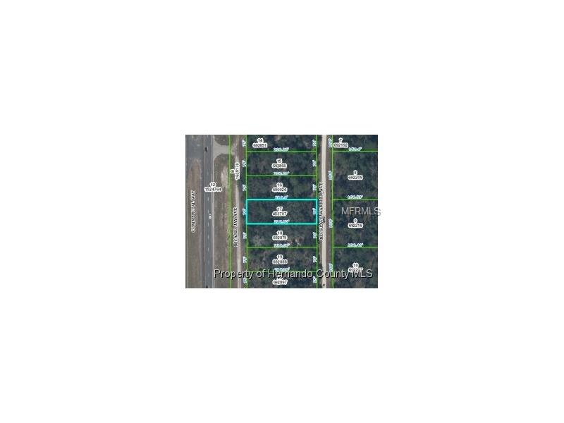 17112 NICASIO JAY AVENUE, Weeki Wachee, FL 34614