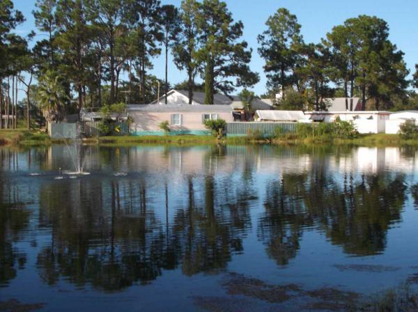 Lake Bambi Mobile Ranch21341 Lake Bambi CirLand O Lakes, FL 34638