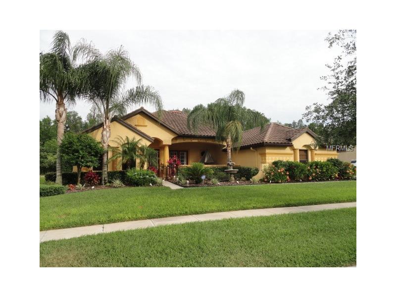 3526 BALLASTONE DRIVE, Land O Lakes, FL 34638