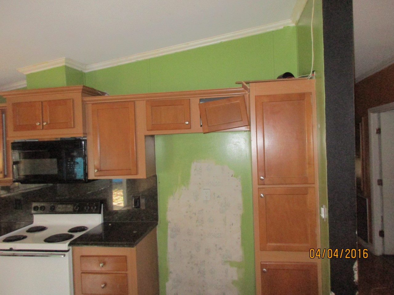 19036 Brewer Rd., Land O Lakes, FL 34638
