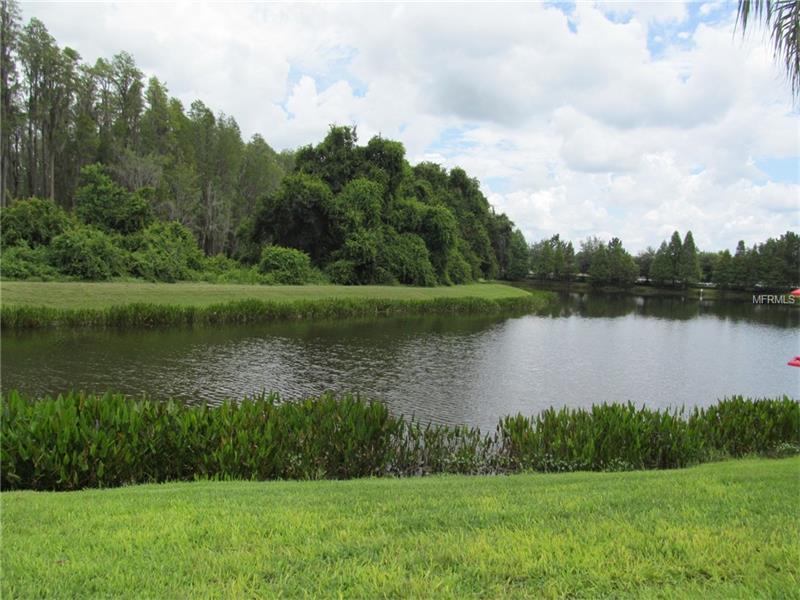 19423 EVERTON PLACE, Land O Lakes, FL 34638