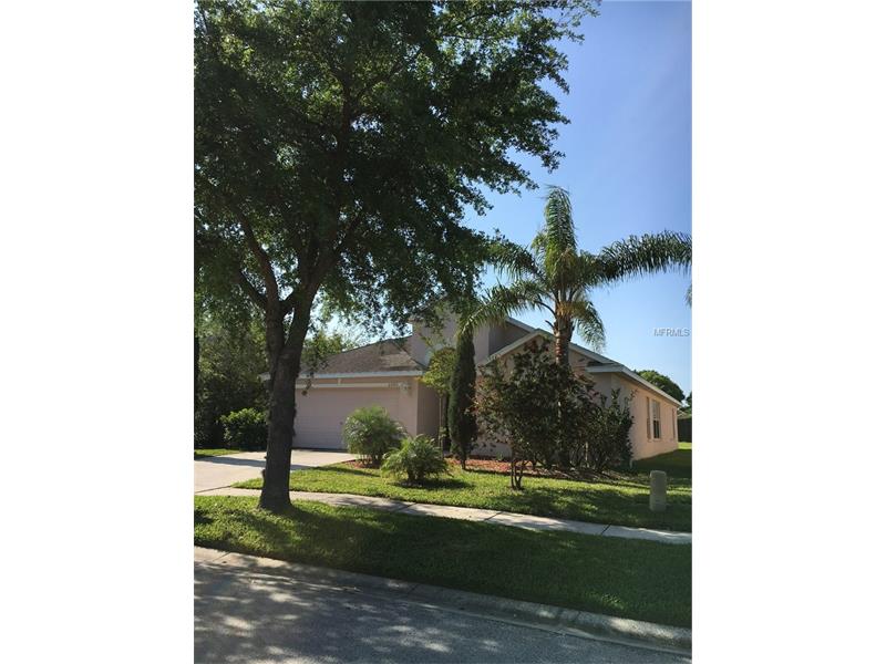 22701 HAWK HILL LOOP, Land O Lakes, FL 34639