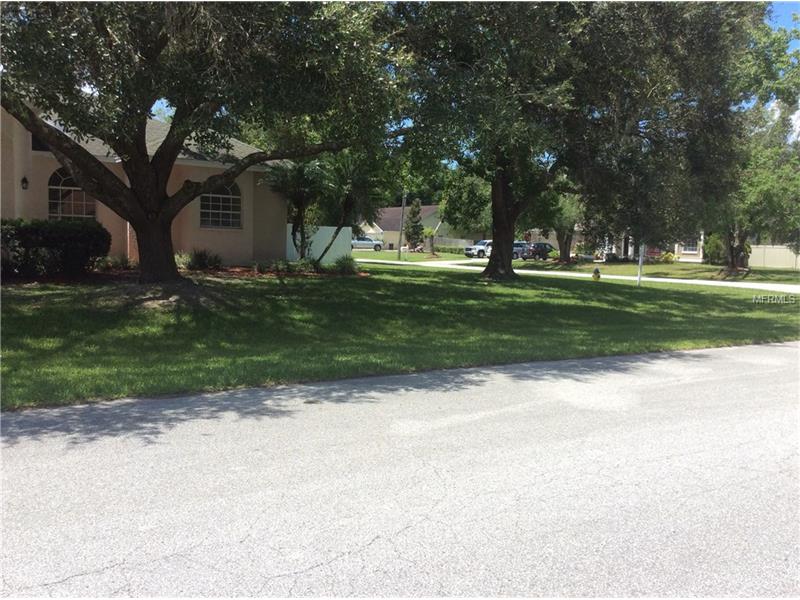3916 REDWOOD DRIVE, Land O Lakes, FL 34639