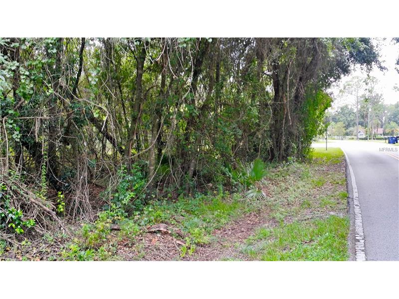 DUPREE DRIVE, Land O Lakes, FL 34639
