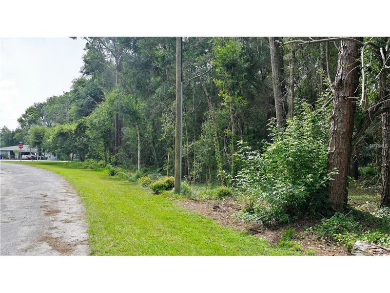DUPREE DRIVE, Land O Lakes, FL 34639