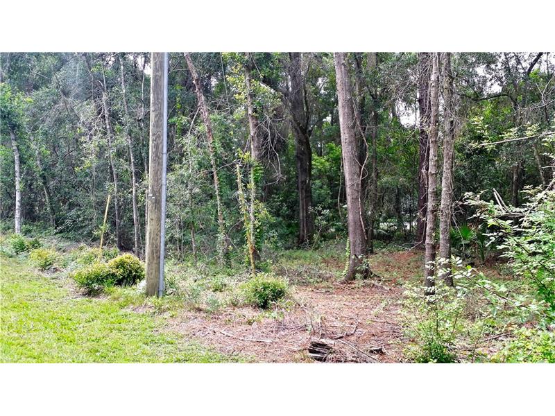 DUPREE DRIVE, Land O Lakes, FL 34639