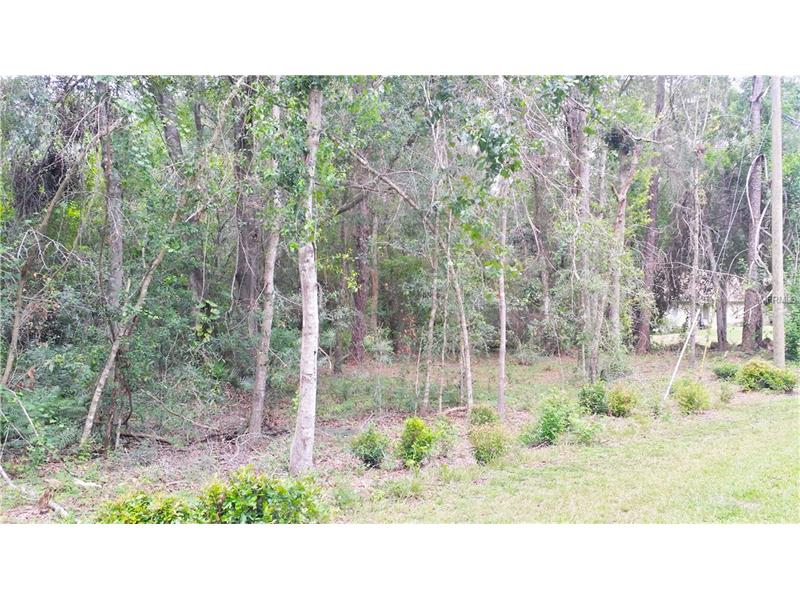 DUPREE DRIVE, Land O Lakes, FL 34639