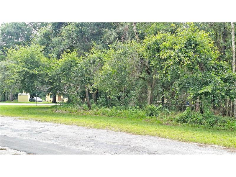 DUPREE DRIVE, Land O Lakes, FL 34639