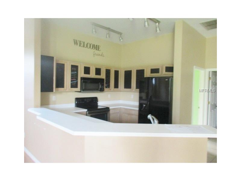 23116 EMERSON WAY, Land O Lakes, FL 34639