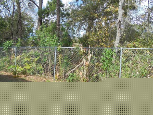 Hacienda Village7325 Granada AvNew Port Richey, FL 34653