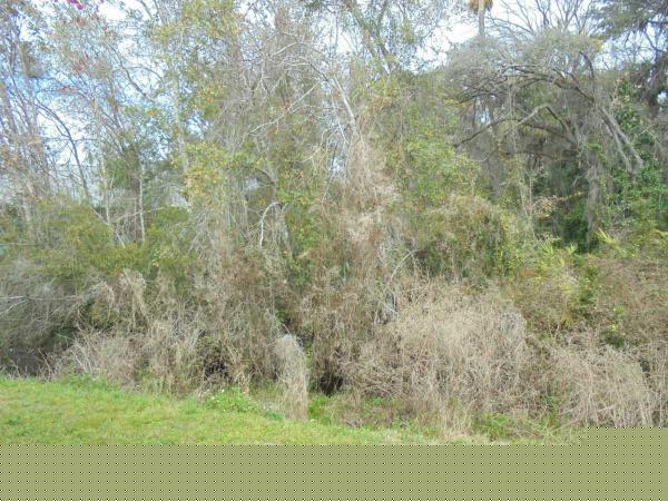 Harbor View6731 STRAWBERRY DRNew Port Richey, FL 34653
