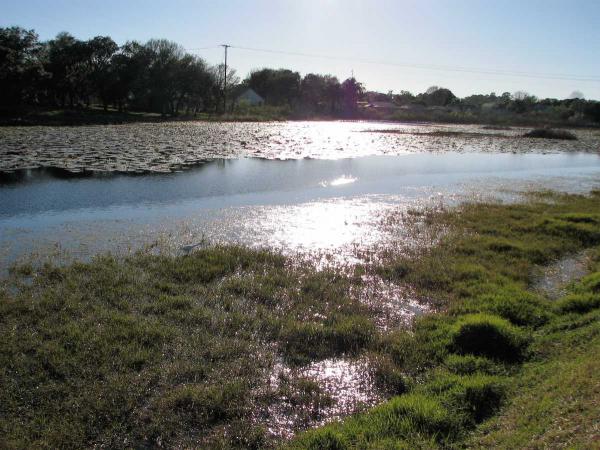 Orchid Lake RV Resort1012 10th StreetNew Port Richey, FL 34653