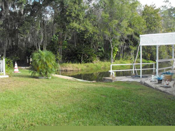 Harbor View6817 Elderberry DrNew Port Richey, FL 34653