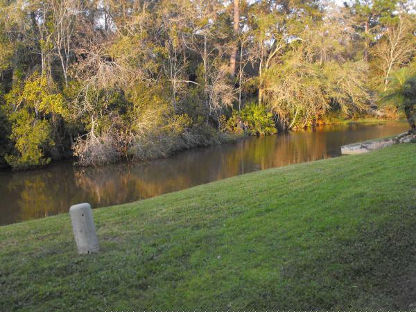 Harbor View6837 Elderberry DrNew Port Richey, FL 34653