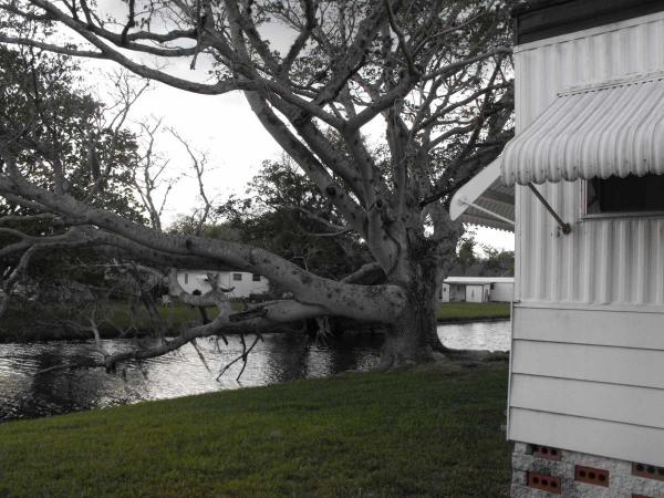 Harbor View5925 Eastlake DriveNew Port Richey, FL 34653