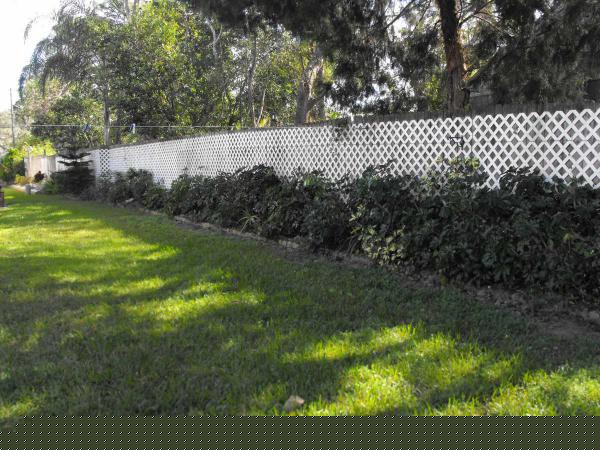 Harbor View6846 Cranberry DriveNew Port Richey, FL 34653