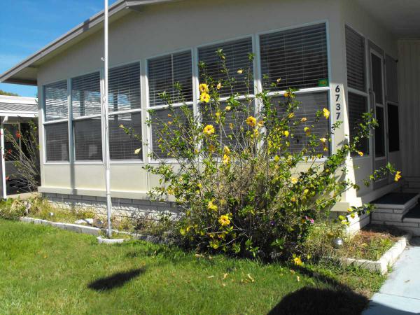 Harbor View6737 Cranberry DriveNew Port Richey, FL 34653