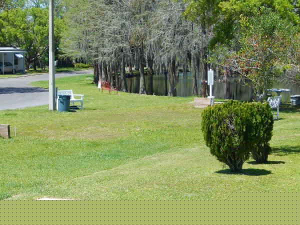 Orangewood Lakes Mobile Home Community7854 Orangewood Lakes RdNew Port Richey, FL 34653
