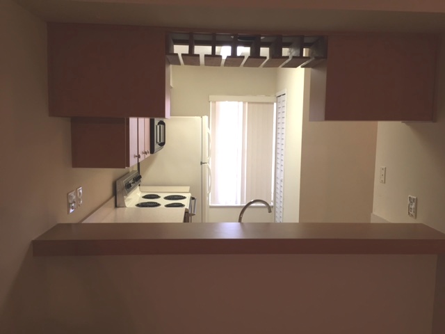 4809 Myrtle Oak Dr., New Port Richey, FL 34653