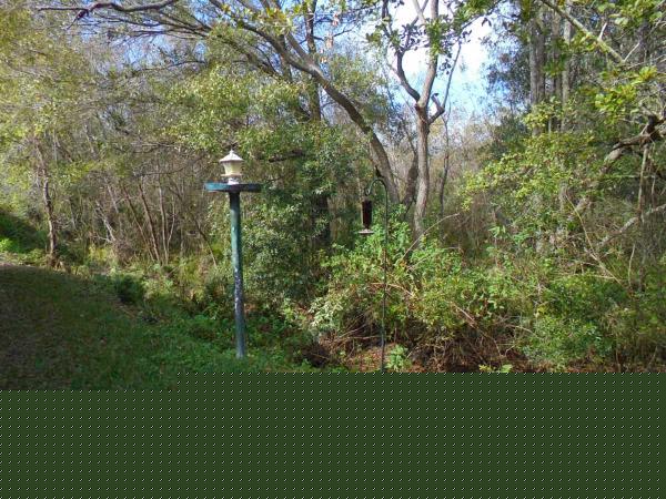 Hacienda Village6149 Aragon avNew Port Richey, FL 34653