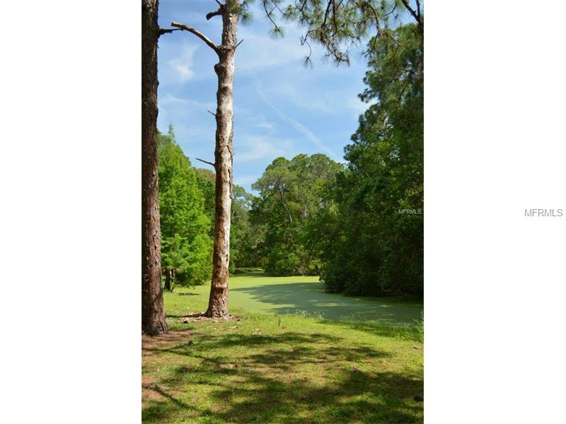 0 PAYSON, New Port Richey, FL 34654