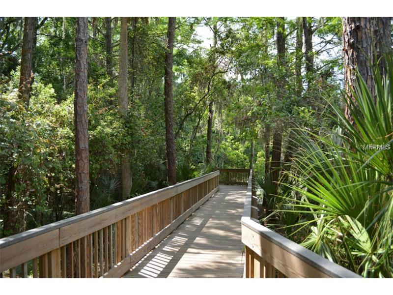 0 PAYSON, New Port Richey, FL 34654