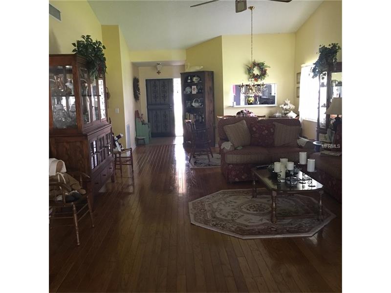 11509 PAMPAS DRIVE, New Port Richey, FL 34654