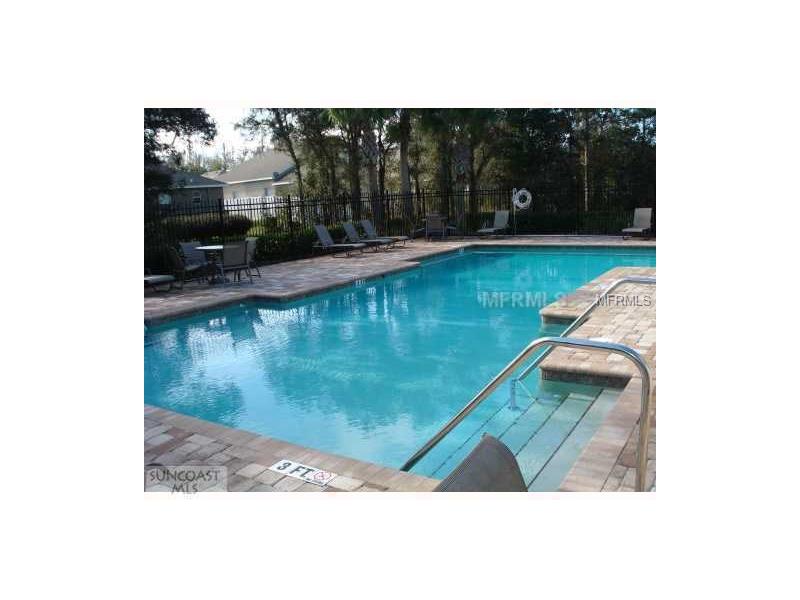 12117 INFINITY DRIVE, New Port Richey, FL 34654