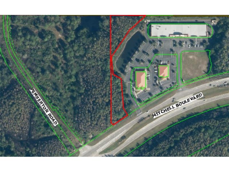 MITCHELL BOULEVARD, Trinity, FL 34655