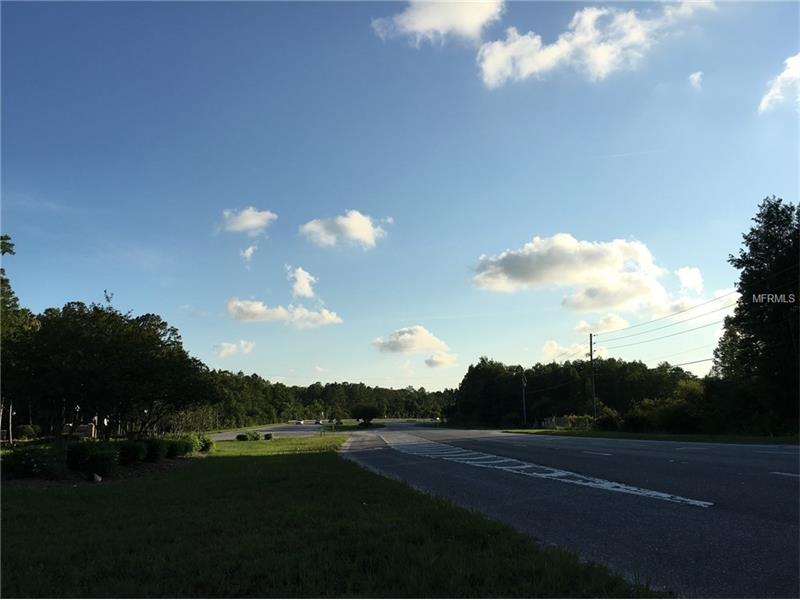 MITCHELL BOULEVARD, Trinity, FL 34655
