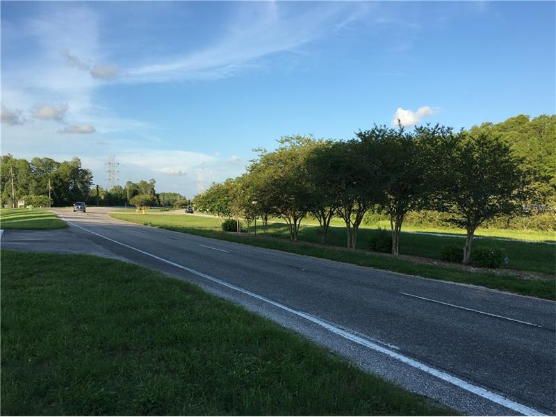 MITCHELL BOULEVARD, Trinity, FL 34655