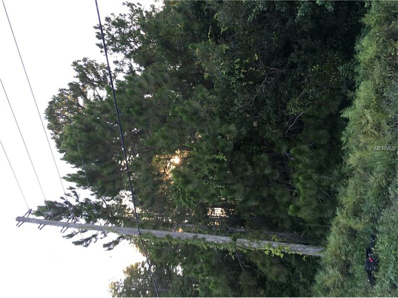 MITCHELL BOULEVARD, Trinity, FL 34655