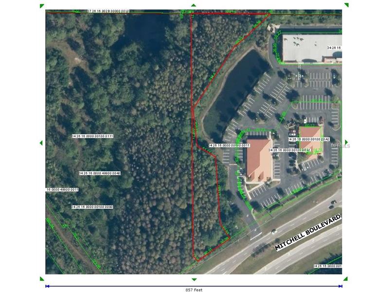 MITCHELL BOULEVARD, Trinity, FL 34655