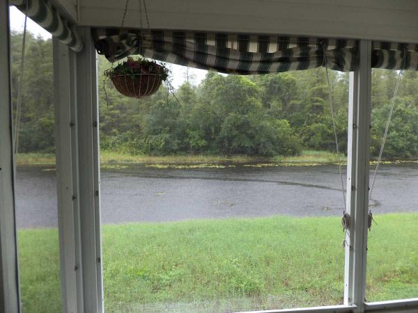 Country Place2712 Casa DrTrinity, FL 34655