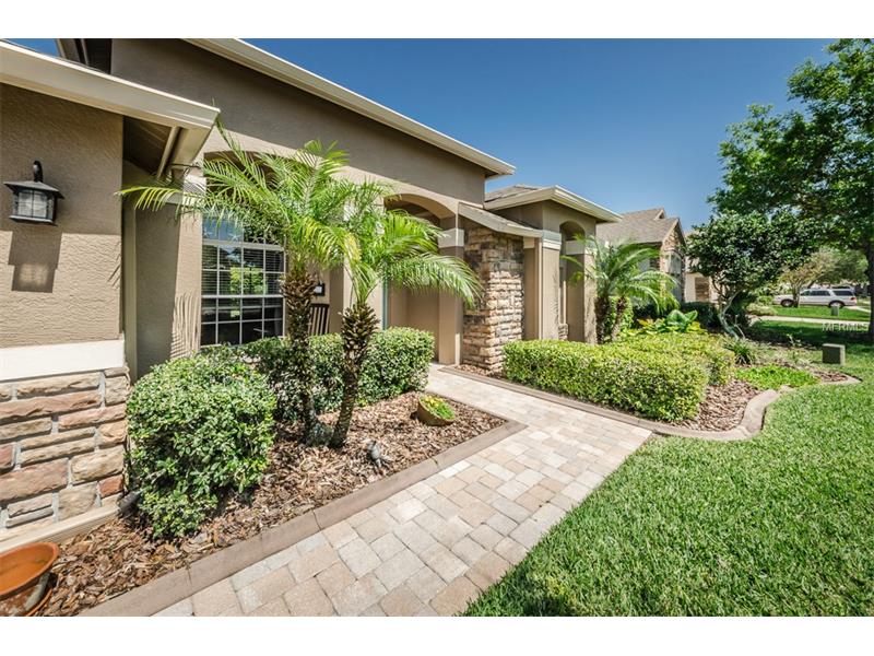 1452 Tawnyberry Ct, Trinity, FL 34655