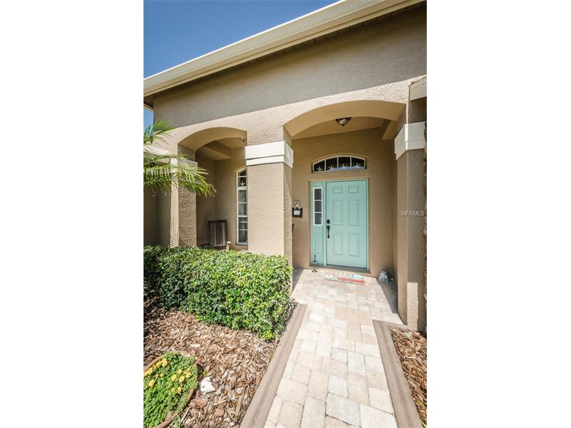 1452 Tawnyberry Ct, Trinity, FL 34655
