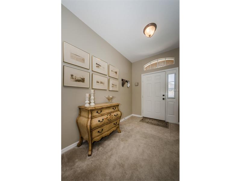1452 Tawnyberry Ct, Trinity, FL 34655