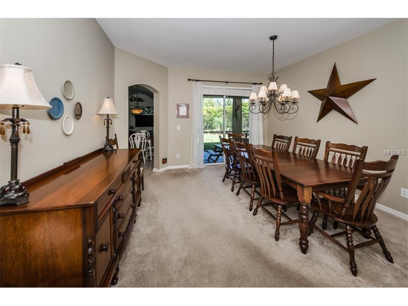 1452 Tawnyberry Ct, Trinity, FL 34655