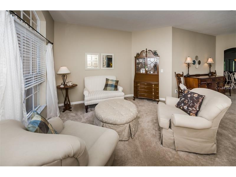 1452 Tawnyberry Ct, Trinity, FL 34655