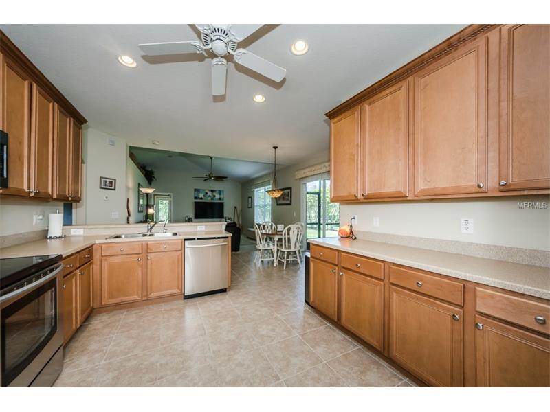 1452 Tawnyberry Ct, Trinity, FL 34655