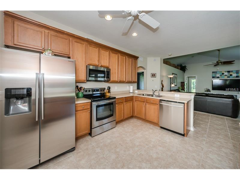 1452 Tawnyberry Ct, Trinity, FL 34655