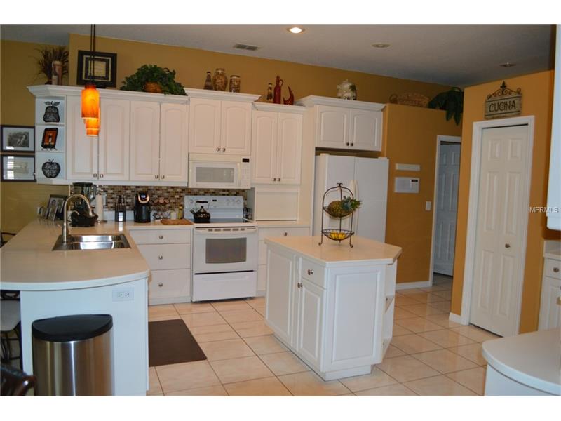2117 LARKSPUR COURT, Trinity, FL 34655