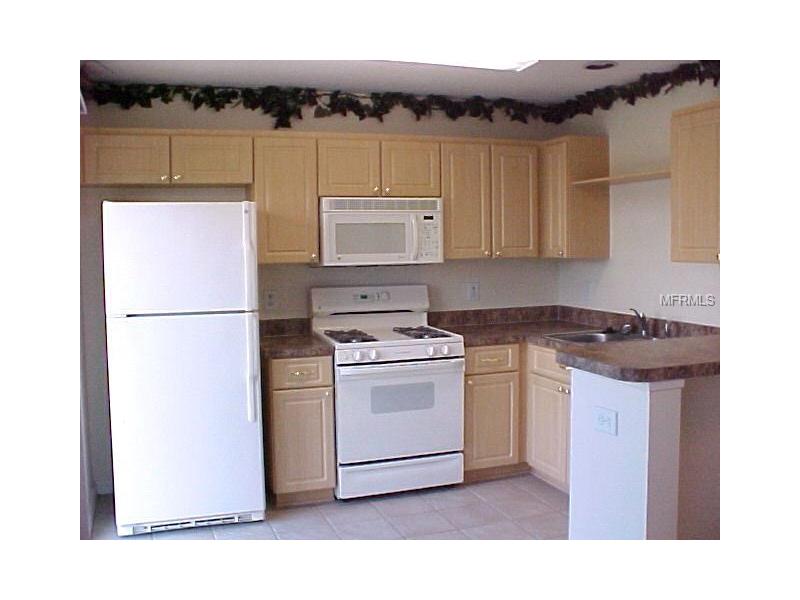 8442 HAWBUCK STREET, Trinity, FL 34655